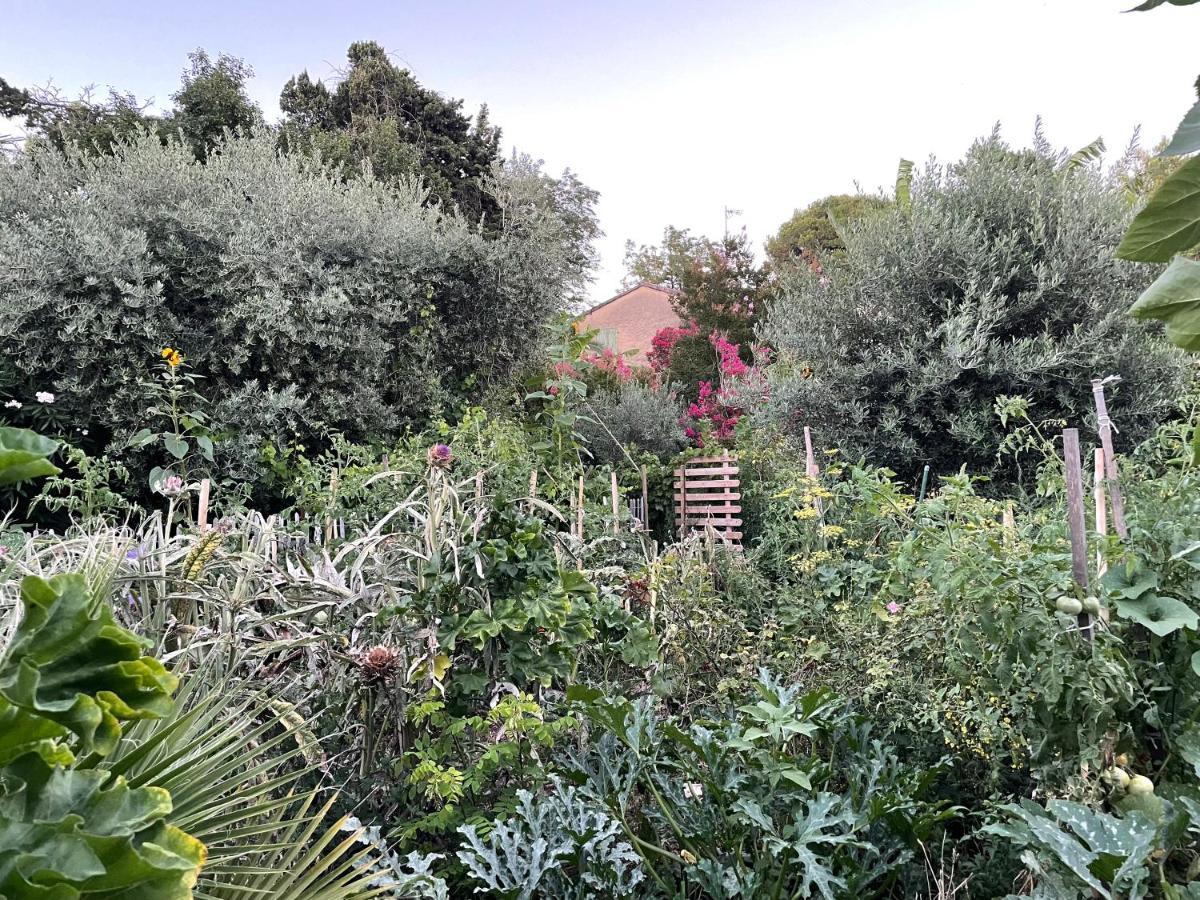Bollène Villa Leona Clim Park מראה חיצוני תמונה
