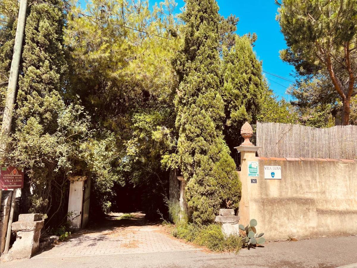 Bollène Villa Leona Clim Park מראה חיצוני תמונה