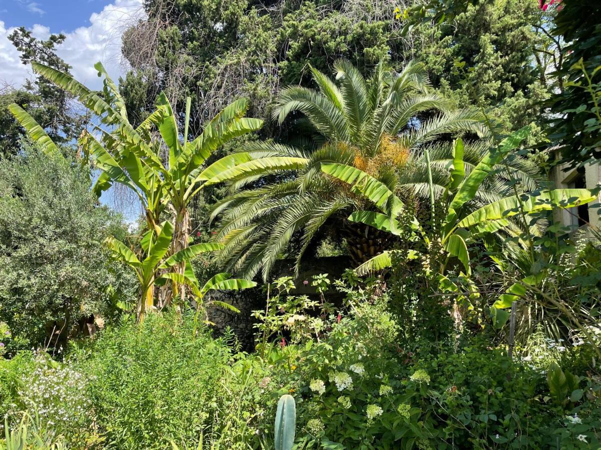 Bollène Villa Leona Clim Park מראה חיצוני תמונה