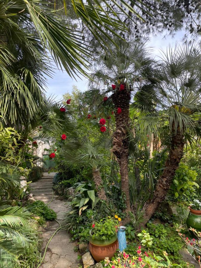 Bollène Villa Leona Clim Park מראה חיצוני תמונה